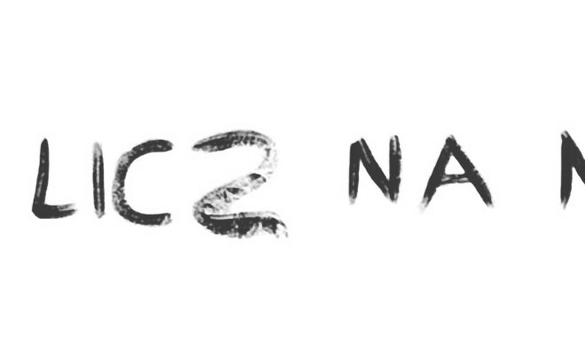 Nie licz na nic
