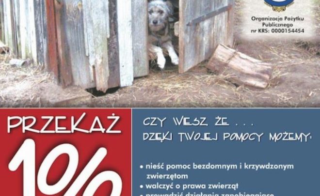 Pomoc potrzebującym zwierzętom, idea domów tymczasowych – spotkanie towarzyszące wystawie