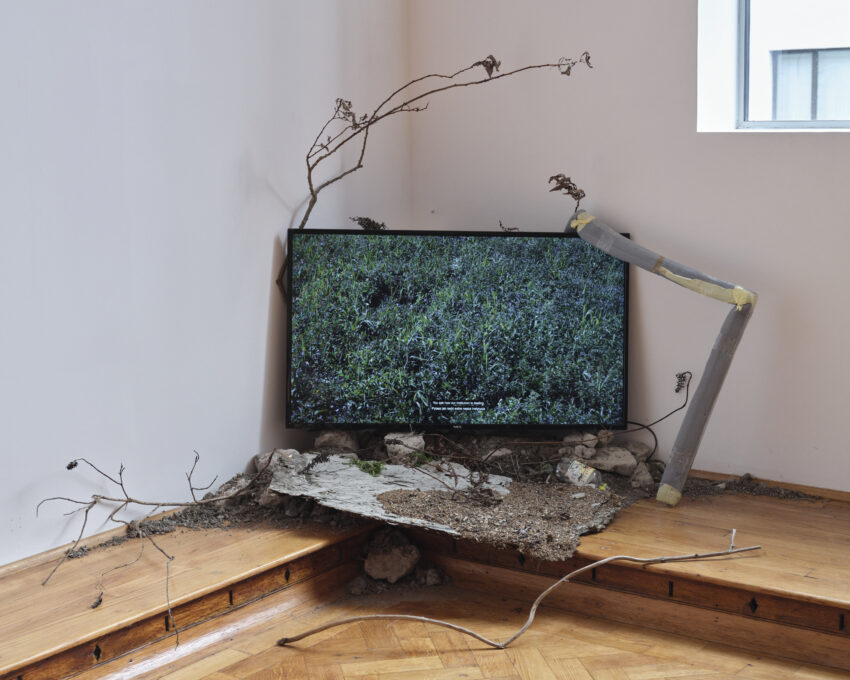 telewizor z projekcją wideo w okół którego ustawione są gałęzie, ziemia i kamienie