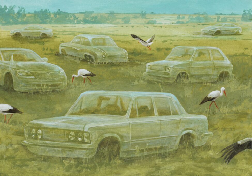 Alicja Pakosz. Birds Speak Polish