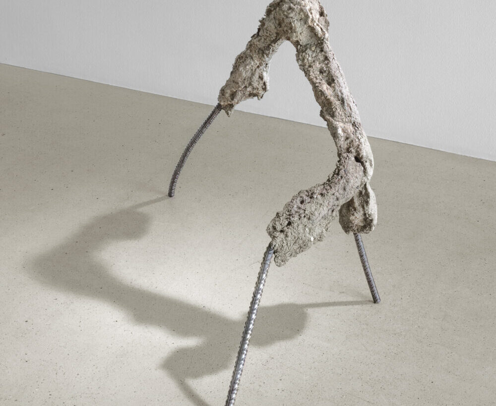 Art for the End of the World