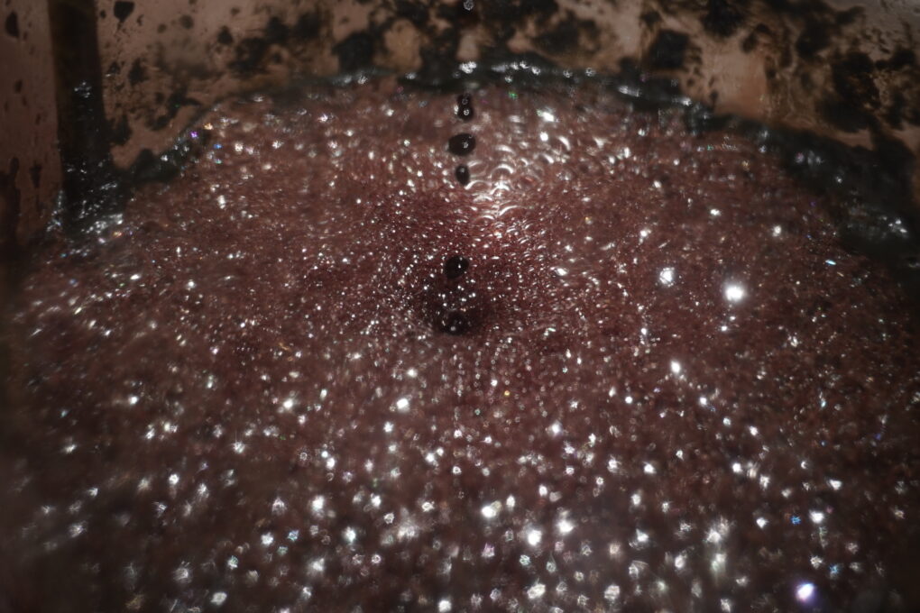 Katya Libkind. „Rozpaczać – patrzeć”