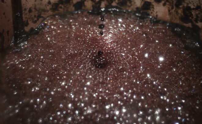 Katya Libkind. „Rozpaczać – patrzeć”