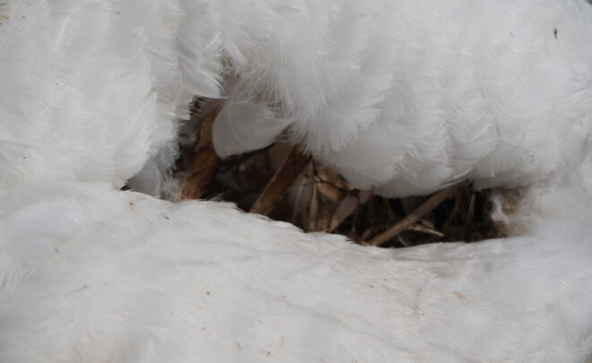 Oprowadzanie kuratorsko-autorskie po&nbsp;wystawach: Lesia Khomenko. „Stan fundamentalnie nieokreślony” / Katya Libkind. „Rozpaczać – patrzeć”