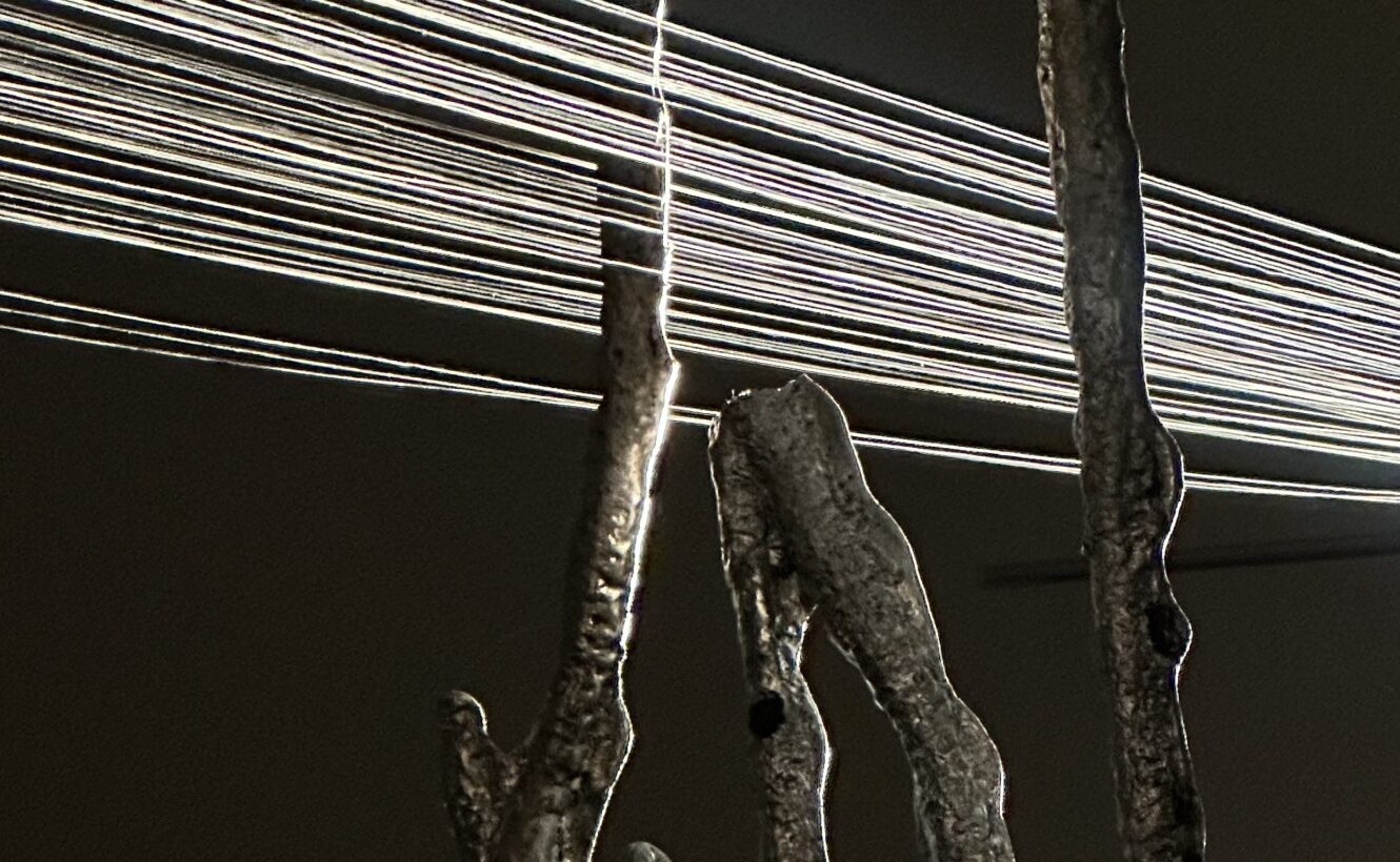 Wernisaż wystawy / Pakui Hardware. CLEARVIEW